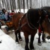Zimowe zabawy z koniem jazda konna